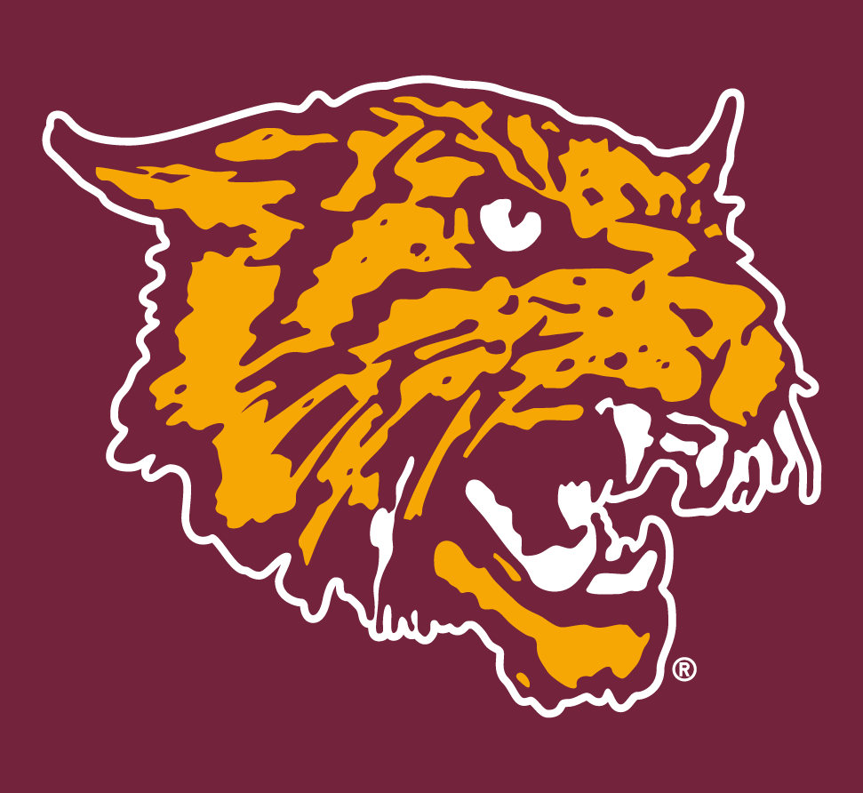 Bethune-Cookman Wildcats 2000-2015 Alternate Logo iron on transfers for T-shirts